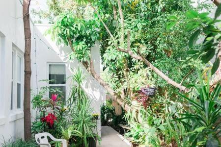 Apartment Emilio & Argelia Miami